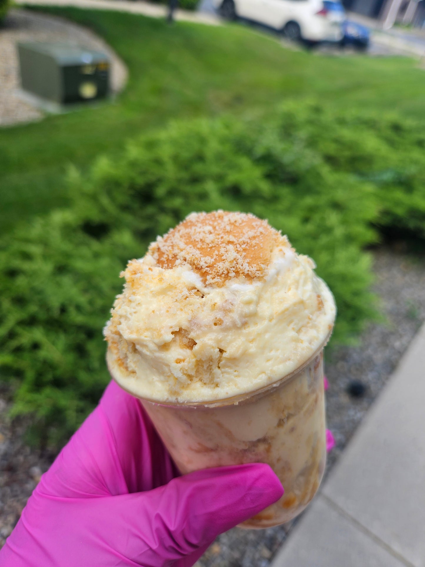 Grandma's Banana Pudding Cup