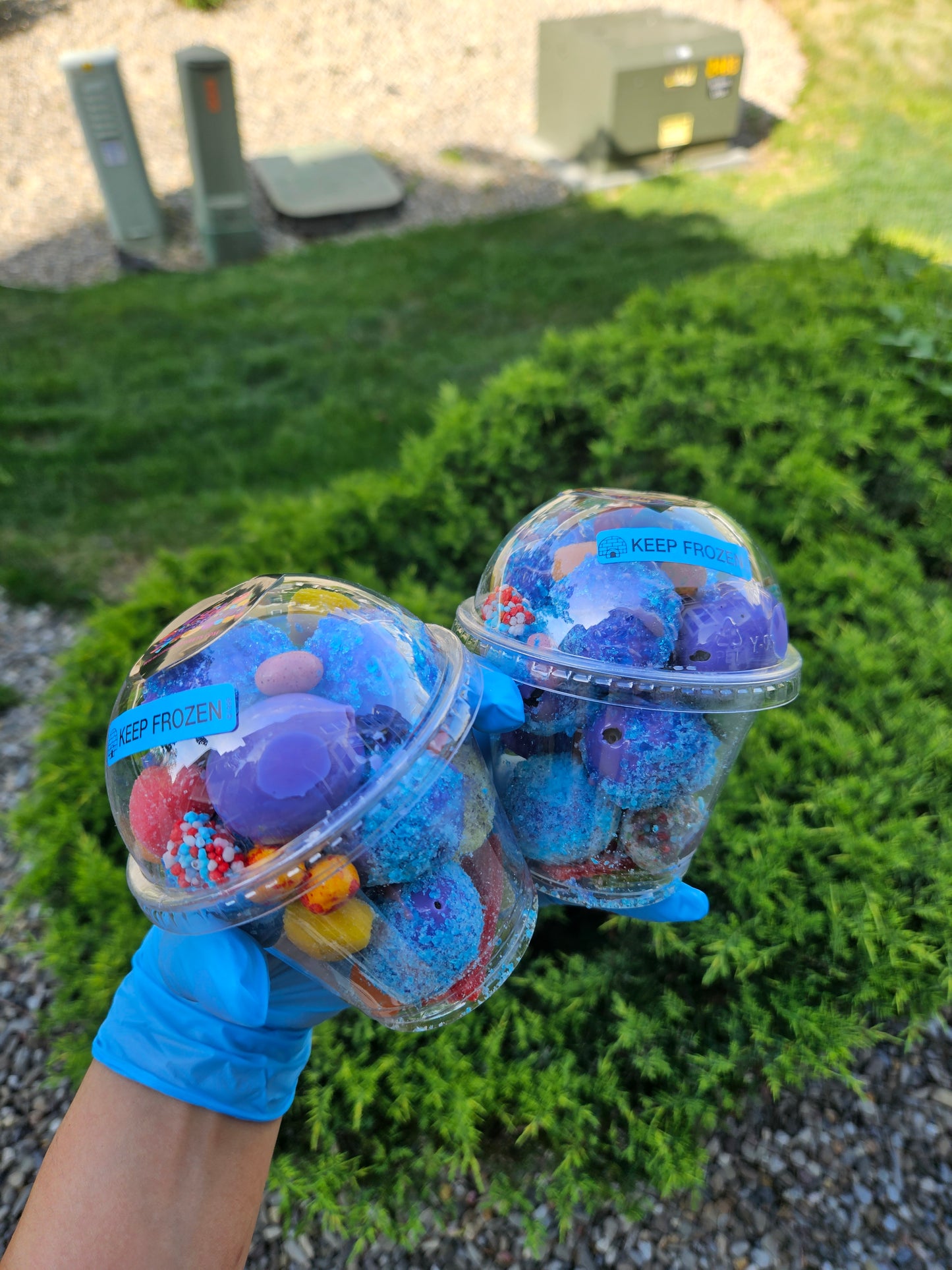 NEW! SUN CUP!
